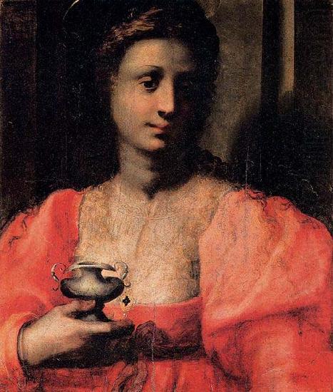 Domenico Puligo Mary Magdalen china oil painting image